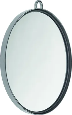 Produktbild von Efalock Classic Handspiegel silber