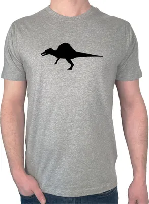 Produktbild von Huuraa Herren T-Shirt Spinosaurus Dinosaurier XL Sport Grey Bio Baumwolle Fairtrade Herrenshirt Geschenkidee