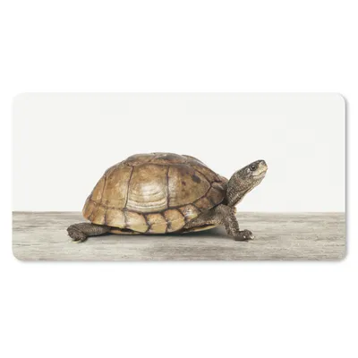 Produktbild von MuchoWow® Mauspad Mousepad Schildkröte - Junge - Tiere - Kinder - Mädchen 60x30 cm - Mousepads - Maus Mat - Pad - Mausunterlage - Nachhaltig
