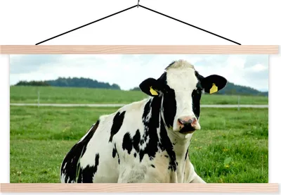 Produktbild von MuchoWow® Textilposter Kuh - Gras - Tiere - Berg 60x30 cm mit holzfarbenen Rahmen - Dekoration