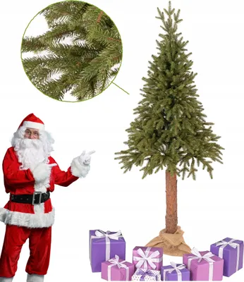 Immagine prodotto di Albero di Natale artificiale, abete rosso su tronco, 180 cm, realistico, 100 % denso, reale