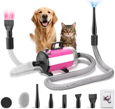 Image de DEWINNER Sèche-Cheveux pour Chien Blower 3200 W, Pulseur Chien avec Aspirateur, Animaux Vitesse et Température Réglable, avec 5 Buses différentes