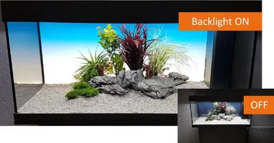 Produktbild von daytime® backlight Pool, B150xH50cm