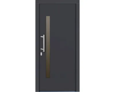Produktbild von Haustür Maia Kiefer lackiert anthrazit 1000 x 2000 mm DIN links