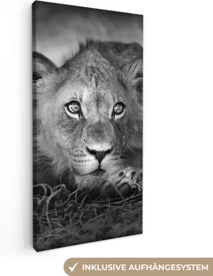 Produktbild von MuchoWow® - Leinwandbilder - Wildtiere - Löwe - Natur - Schwarz - Weiß, Wandbild, Wanddeko Bilder Wohnzimmer, 20x40cm