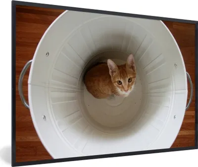 Produktbild von MuchoWow® MuchoWow® Gerahmtes Poster Katze - Mülleimer - Weiß 90x60 cm - Poster mit zchwarzem Bilderrahmen - Fotorahmen - Foto-Plakat