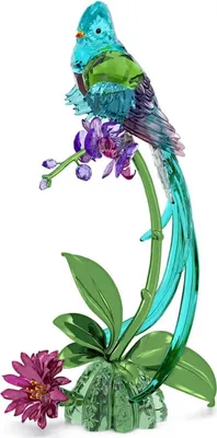 Produktbild von Swarovski Idyllia Quetzal und Orchidee 5682123 Dekoration