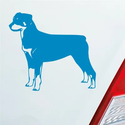 Produktbild von Auto Aufkleber Rottweiler Tier Hund Dog Animal 11x10 cm Hellblau Sticker Heckscheibenaufkleber