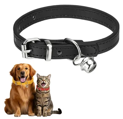 Produktbild von Halsband für Hunde aus Kunstleder mit Glöckchen, schwarz, 25 cm