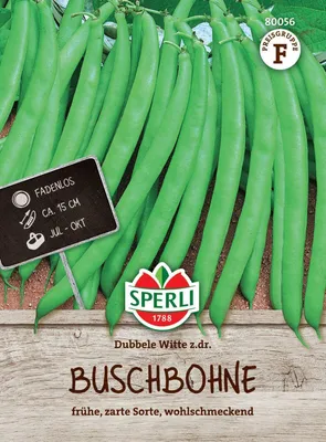 Produktbild von SPERLI Buschbohnensamen Dubbele Witte z.dr. Phaseolus vulgaris 3-5 lfd. Meter