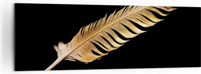 Produktbild von Bild auf Leinwand - Leinwandbild - Einteilig - Golden Feder Schwarz - 160x50cm - Wand Bild - Wanddeko - Wandbilder - Leinwanddruck - Bilder - Wanddekoration - Leinwand bilder - AB160x50-4887