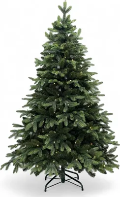 Produktbild von XMS-Trees Künstlicher Weihnachtsbaum Whistler H270 x Ø180 cm - inkl. LED - Realistisches Modell/Tannengrün - Schwer entflammbar