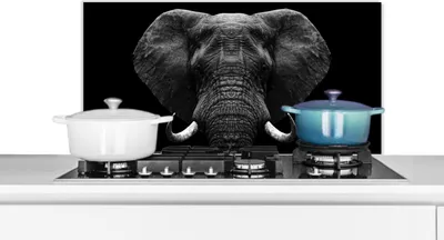 Produktbild von KitchenYeah®  Spritzschutz Küche - Küchenrückwand - Wandschutz für Herd und Spüle - Tiere - Elefant - Porträt - Schwarz - Weiß 80x40 - Alu-Dibond (Alternative zum Spritzschutz aus Glas) - Hitzebeständ