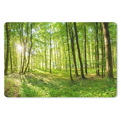 Obrázok produktu pre Podložka pod myš - Príroda - Stromy - Les - Zelený - Slnečné svetlo - 60x40cm - Rohožka pod myš