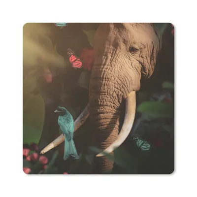 Produktbild von MuchoWow® Mauspad Mousepad Tiere - Vogel - Elefant - Dschungel 30x30 cm - Mousepads - Maus Mat - Pad - Mausunterlage - Gaming
