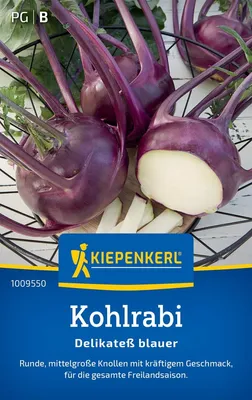 Produktbild von Kiepenkerl Kohlrabisamen Delikateß blauer Brassica oleracea gongylodes 150 Pflanzen