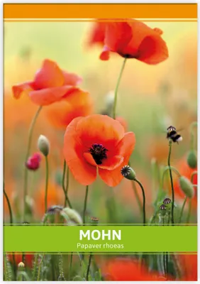 Produktbild von Mohn für Werbezwecke | Mohnsamen von FLORTUS