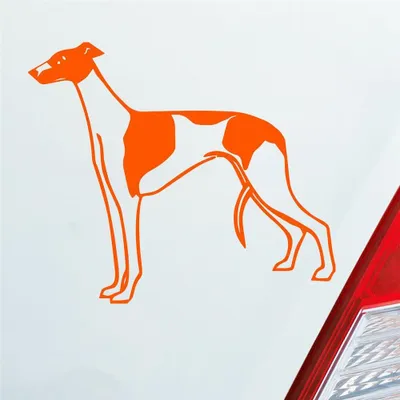 Produktbild von Auto Aufkleber Windhund Hund Dog Animal Tier 12x10 cm Orange Sticker Heckscheibenaufkleber
