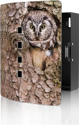 Produktbild von banjado Design Schlüsselkasten aus Edelstahl für 10 Schlüssel, Schlüsselschrank 24 x 21,5 x 7cm groß mit Magnetverschluss, Eule [BWSK 10414]
