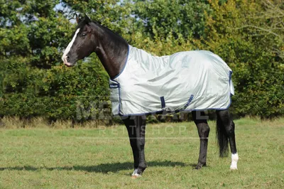 Produktbild von Bucas Power Turnout Extra High Neck Regendecke Winterdecke 120 cm, Altes Modell