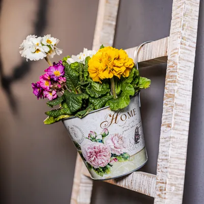 Produktbild von Metall Hängetopf - Ø 15cm x 13cm Nelke 1 Stück Blumentopf hängend Balkon