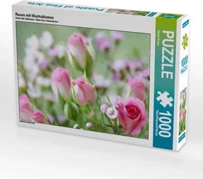 Produktbild von CALVENDO Puzzle Rosen mit Wachsblumen | 1000 Teile Lege-Größe 64x48cm Foto-Puzzle für glückliche Stunden