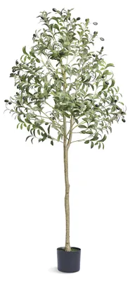 Image de Arbre d'olivier artificiel, 60x60x155 cm. Plante artificielle en polyéthylène (PE). Plantes artificielles, fausses plantes en plastique en pot. Fleur artificielle. Inodore, étanche. Idéal pour