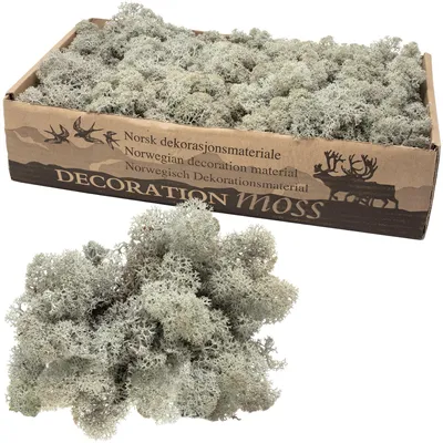 Produktbild von Natürliches Islandmoos Grau 500g für Dekorationen und Bastelarbeiten