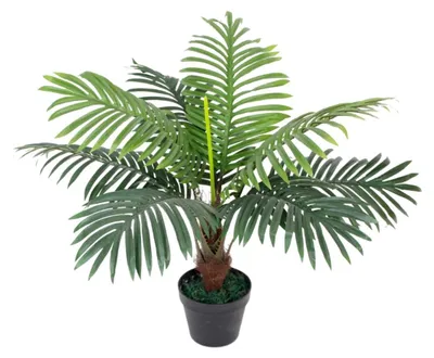 Imagen del producto de Kunstpalme de 65 cm: Planta artificial realista para decoración