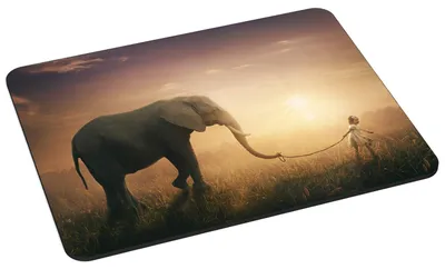 Zdjęcie produktu dla Mata pod mysz PEDEA Design, 22 x 18 cm, motyw: słoń