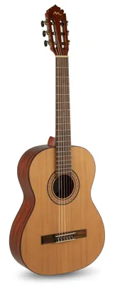 Produktbild von MANUEL RODRIGUEZ Tradicion T62 Mahagoni/Zeder