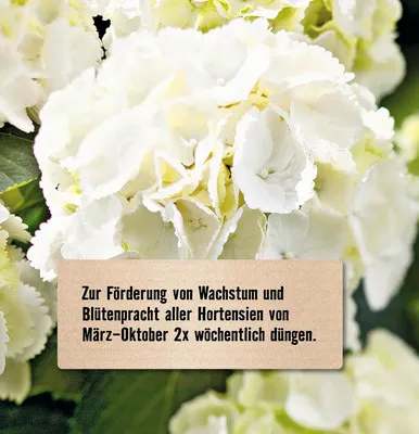 Produktbild von Hortensiendünger FloraSelf Select 1 L mineralischer Dünger