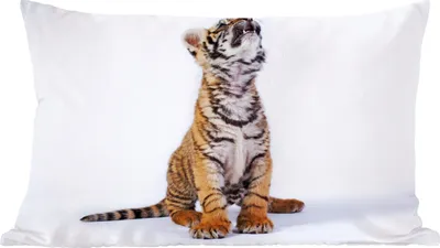 Produktbild von MuchoWow® Zierkissen Sofakissen Wohnzimmer Dekokissen 50x30 cm Tiger - Jungtier - Weiß - Wohnzimmerdekoration - Polster mit Photo
