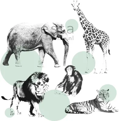 Immagine prodotto di ESTAhome fotomurale animali verde menta 186 x 279 cm