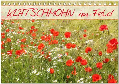 Produktbild von Klatschmohn im Feld (Tischkalender 2026 DIN A5 quer), CALVENDO Monatskalender