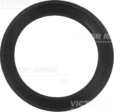Produktbild von REINZ 71-36061-00 Dichtung Ansaugbrücke für VW Golf IV Schrägheck (1J1) GOLF VI (5K1) Golf V Schrägheck (1K1) TOURAN (1T1, 1T2) Passat Variant (3C5)