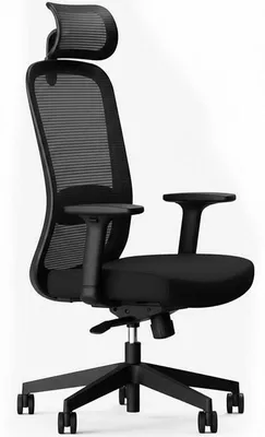 Produktbild von Ergonomischer Bürostuhl YZ04B, schwarz