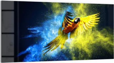 Produktbild von DEQORI Glasbild Echtglas 100x50 cm 'Papagei in Farbwolke' Wandbild Bild modern Deko