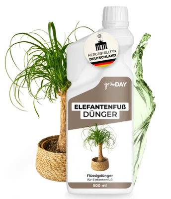 Produktbild von Elefantenfußdünger