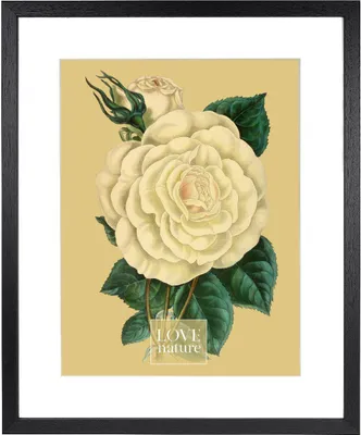 Immagine prodotto di Cornice Goldbuch Rustiq nero 40x50 cm con supporto 30x40 cm