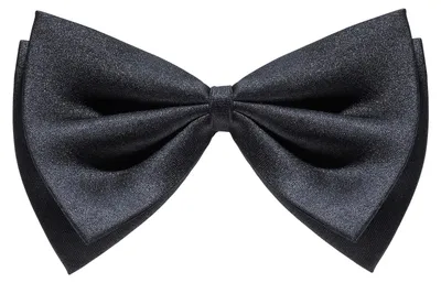 Produktbild von Schwarze Fliege Gentleman Querbinder schwarz