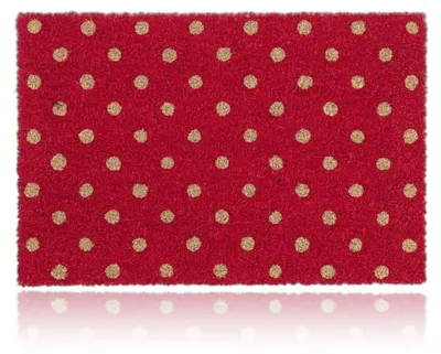 Image de Tapis d'entrée Relaxdays en fibre de coco, tapis rouge à pois, 40 x 60 cm, tapis de porte pour l'intérieur et l'extérieur, antidérapant, résistant aux intempéries, coloré, Image générée par une IA