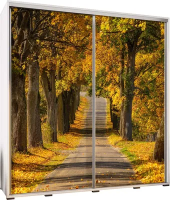 Productafbeelding van Schuifdeurkledingkast PENELOPA 205. Kledingkast met herfstmotieven