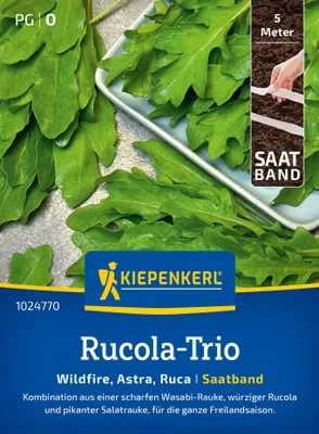 Artikelbild 2 von 'Rucola-Trio Trio (Saatband)' aus der Kategorie Salatsamen