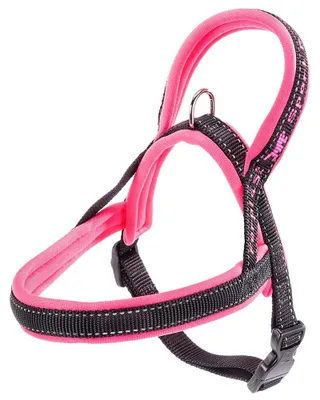 Immagine prodotto di Pettorina Sportiva Per Cani Ferplast P Xs Fucsia