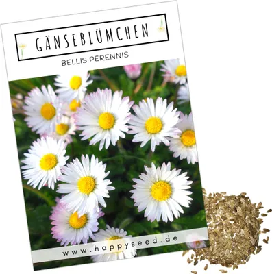 Gänseblümchen / Bellis Perennis - Natura DB