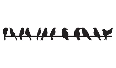 Produktbild von 1 Stück Vogelstange, 120 cm lang, LO-VOG-1000-88-120-1