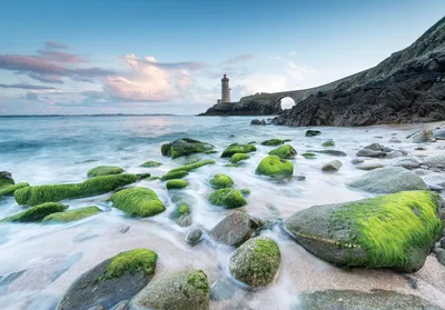 Produktbild von Fototapete Vlies 13052V8 Meer und Leuchtturm 4-tlg. 368 x 254 cm