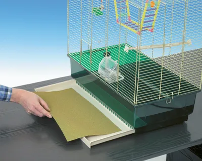 Produktbild von Vogelsandteppich 28 x 43 cm, 6 Blatt, Sandboden