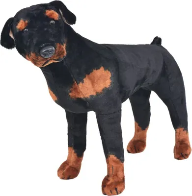 Zdjęcie produktu dla Pluszowy rottweiler, stojący, czarno-brązowy, XXL